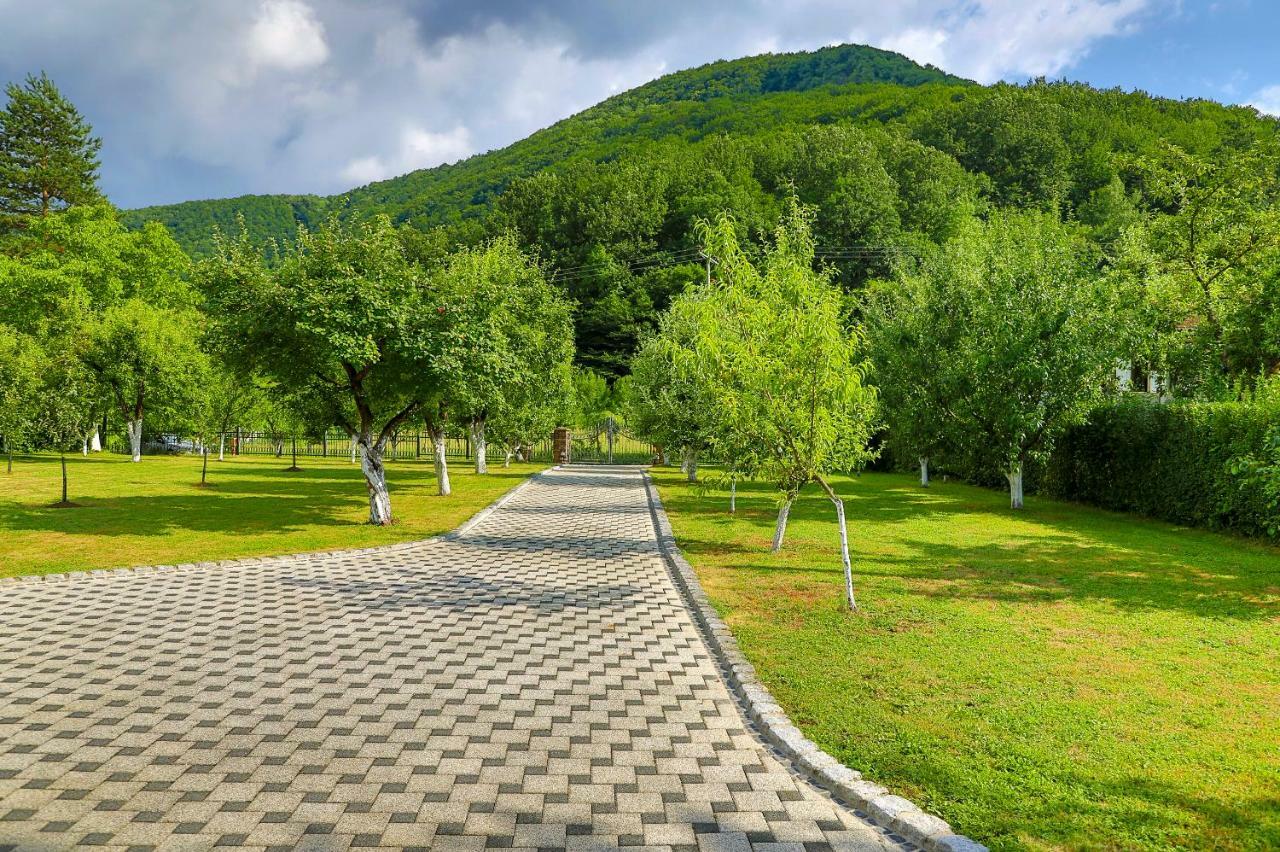 Holiday Home Villa Sara Bihać Dış mekan fotoğraf